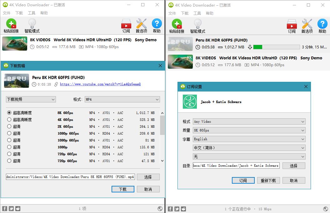 4K Video Downloader v4.33.2.0164