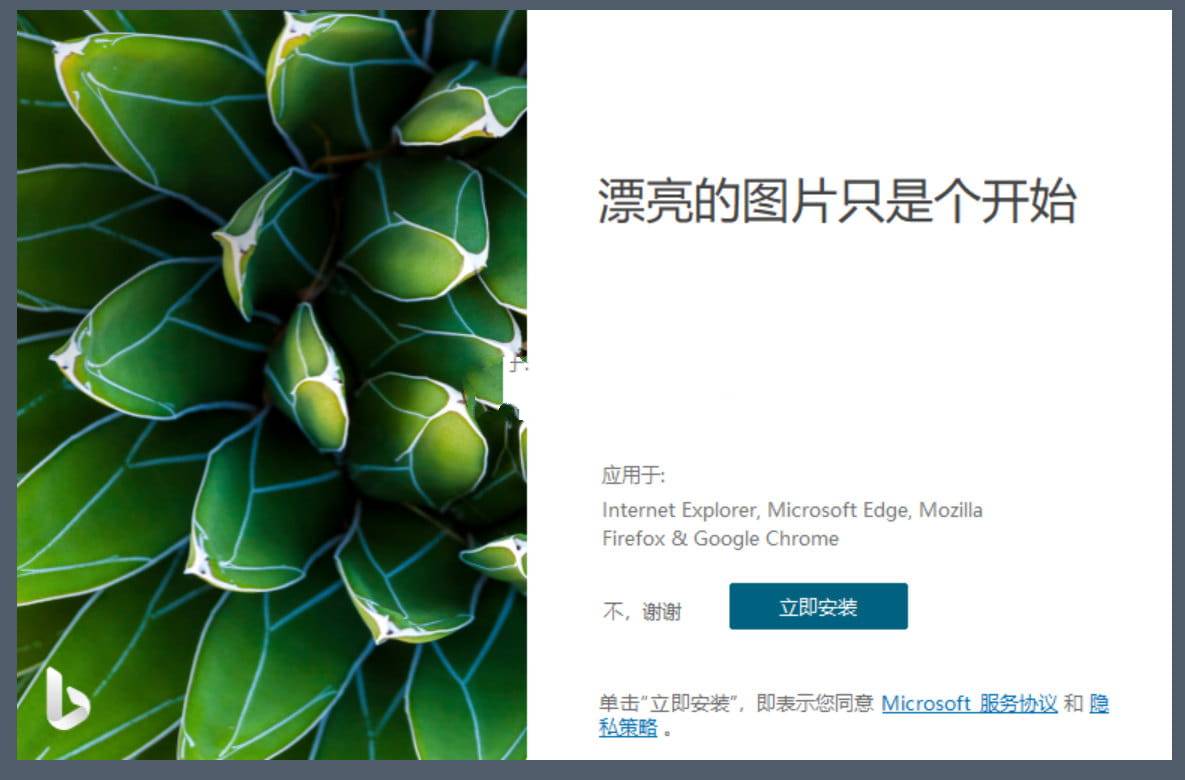 Bing Wallpaper微软壁纸v2.0.2.1中文多语版