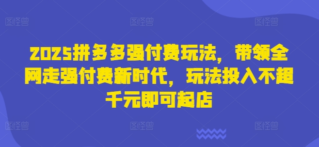 2025拼多多强付费玩法带领全网走新时代起店