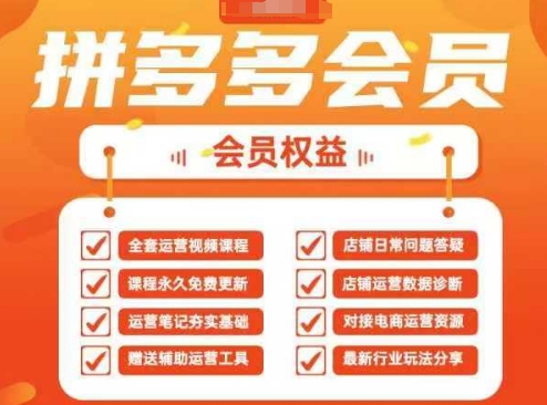 2025拼多多运营实战课40节全流程教学运营全链路