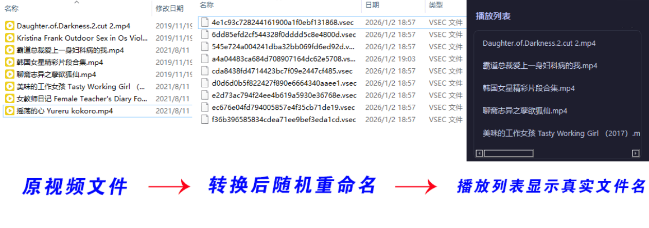老手隐私播放器SecureVault Player V0.8.9